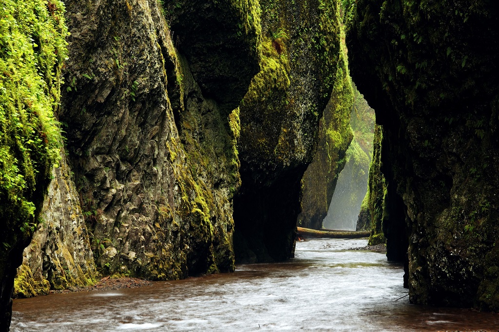 Oneonta Creek flowing through Oneonta Gorge, Columbia River Gorge National Scenic Area, Oregon, USA